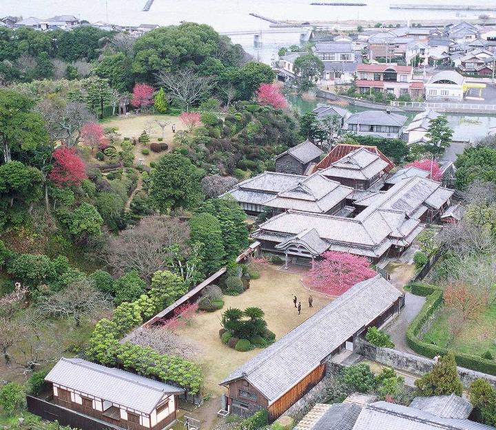 緋寒桜の咲く、2月末～3月上旬