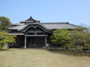 新緑の季節です