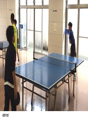 がまだす卓球