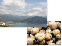 愛野風景とジャガイモ