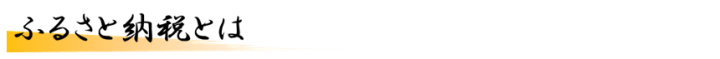 ふるさと納税とは