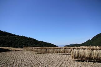 好きな自治体を選べる